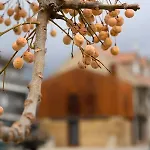 Casa Do Ferreiro Holiday home