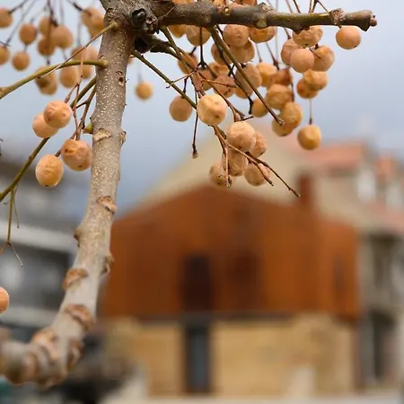 Casa Do Ferreiro Holiday home