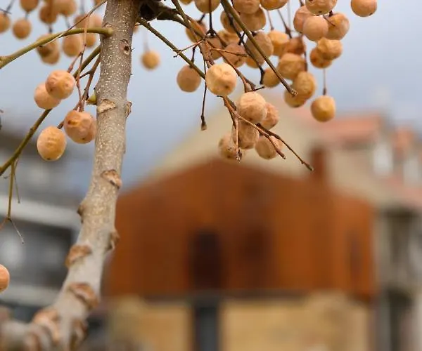 Casa Do Ferreiro Ferienhaus